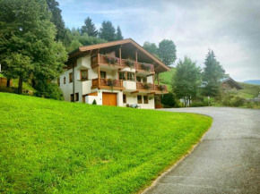 Haus Kollbauer Dienten Am Hochkönig